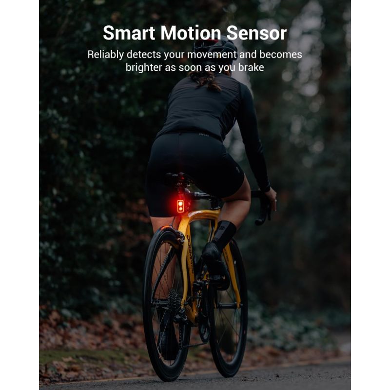 MagicShine SEEMEE 300 Bike Taillight,300 Lumen Bike Tail Light,360° Visible Smart Brake Sensor IPX6 Waterproof Rear Bike Light